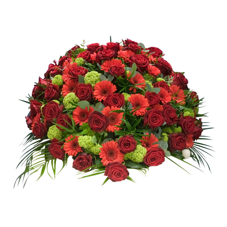 Coussin Rouge/Vert